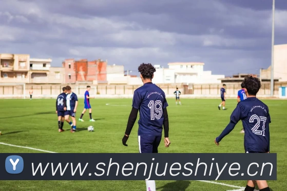 爱游戏ayx官方全站入口APP 高清赛事图